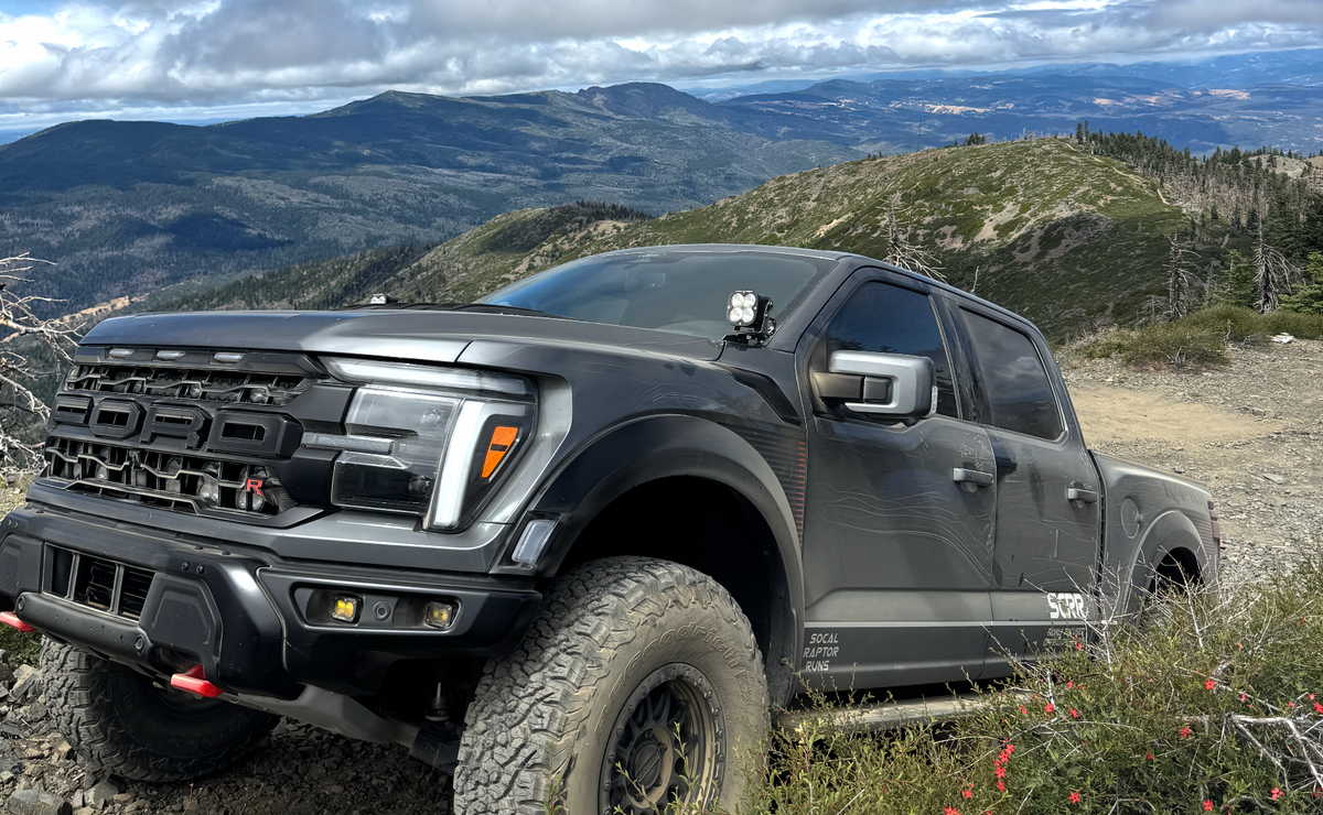 Raptors & Vineyards Temecula