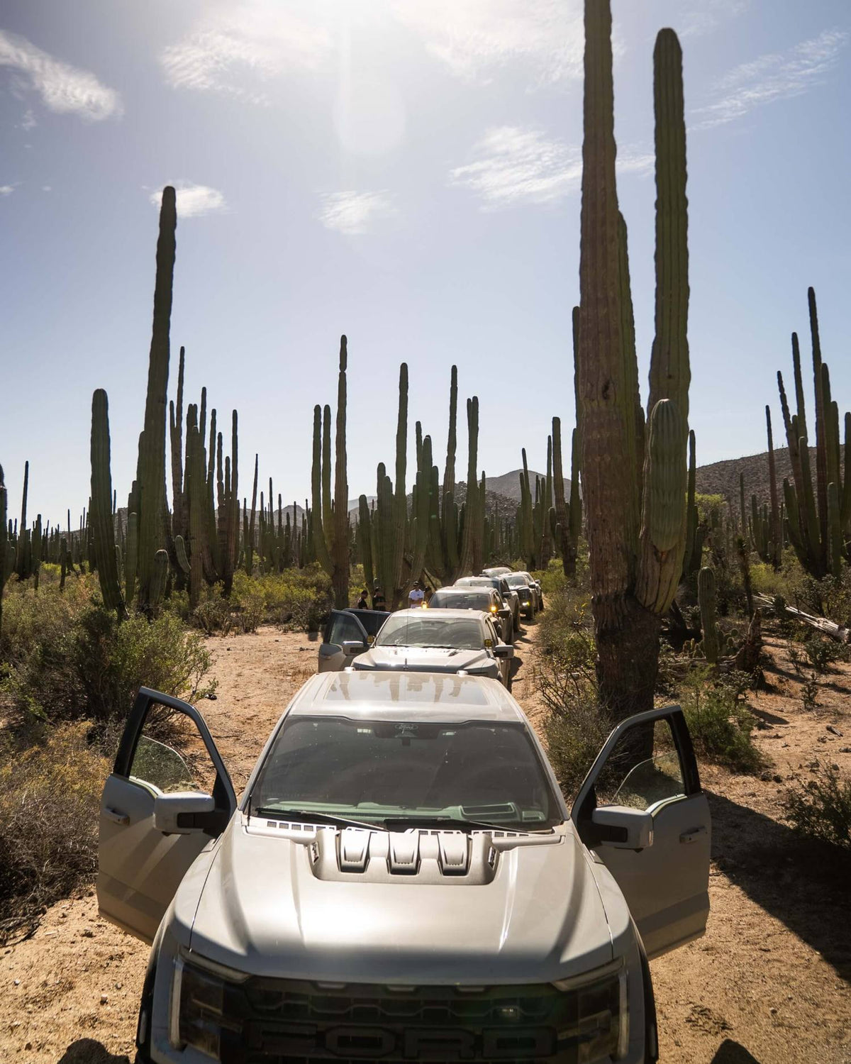 Baja Relaxation Rally