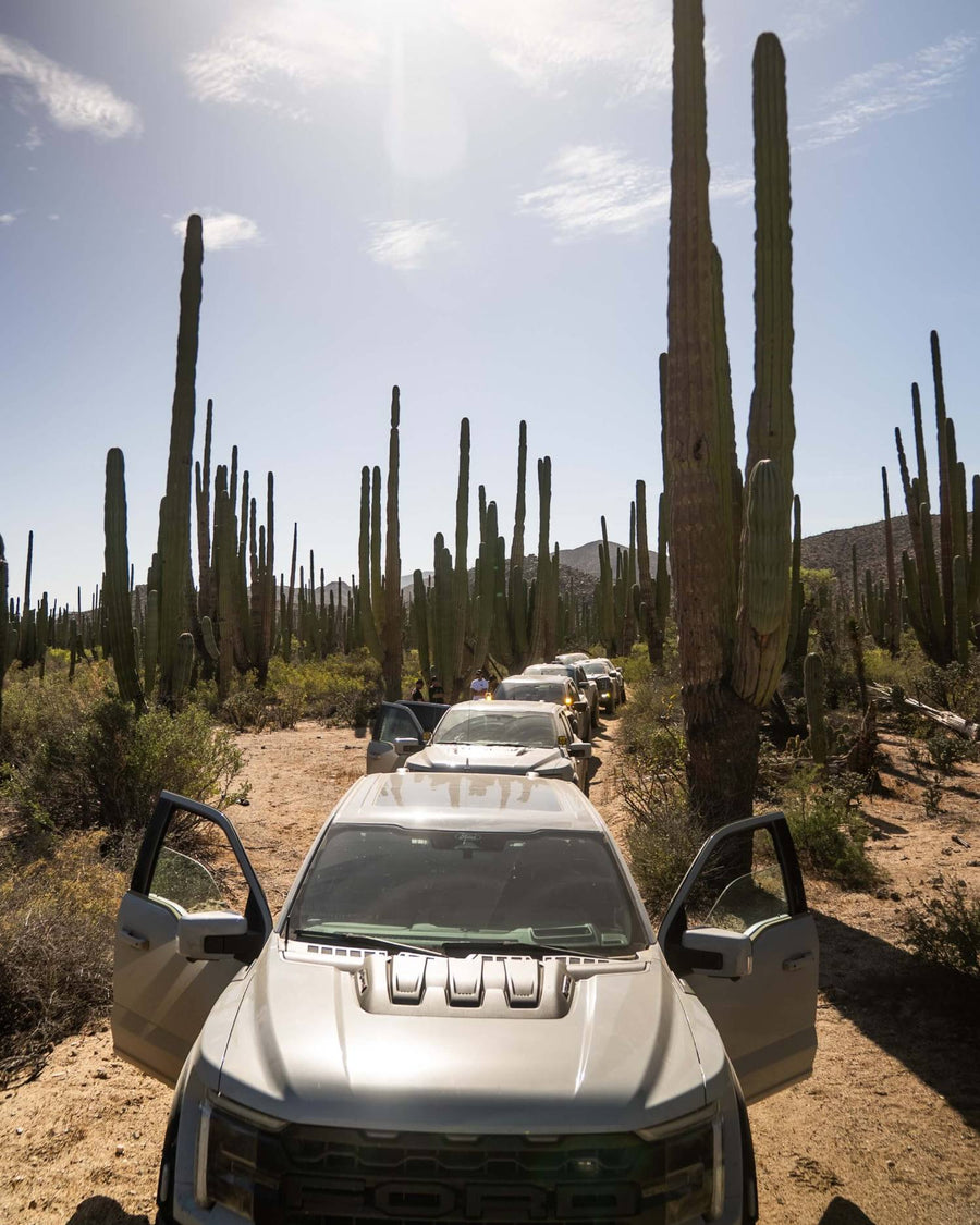 Baja Relaxation Rally