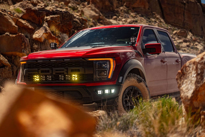 Ford Raptor Rally 3.0